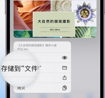 翼城apple维修中心分享iPhone文件应用中存储和找到下载文件