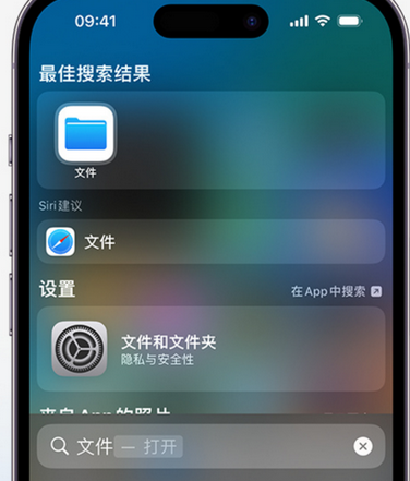 翼城apple维修中心分享iPhone文件应用中存储和找到下载文件