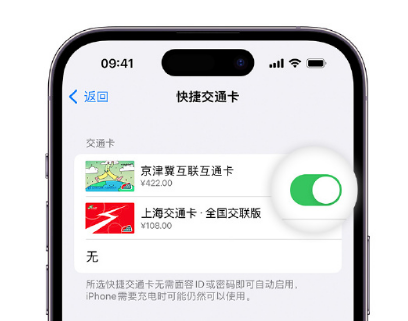 翼城apple维修点分享iPhone上更换Apple Pay快捷交通卡手绘卡面 