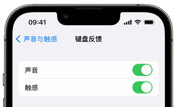 翼城苹果手机维修分享iPhone 14触感键盘使用方法 