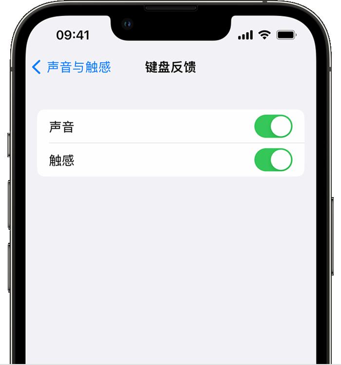 翼城苹果14维修店分享如何在 iPhone 14 机型中使用触感键盘 