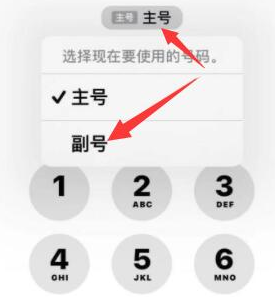 翼城苹果14维修店分享iPhone 14 Pro Max使用副卡打电话的方法 