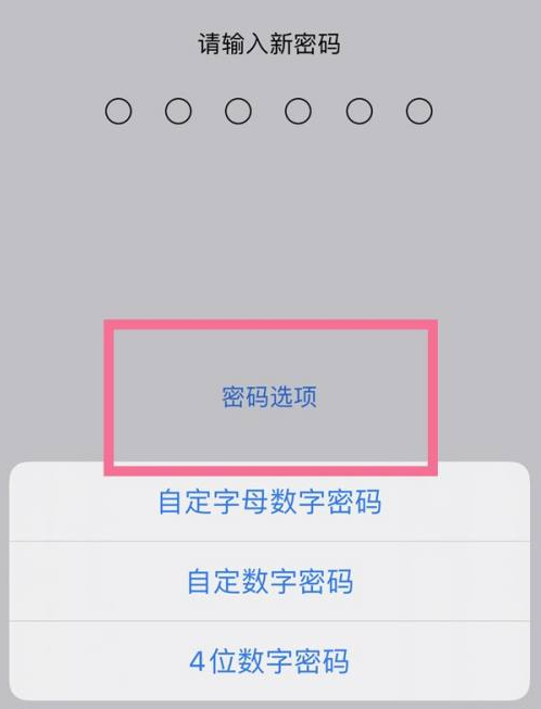 翼城苹果14维修分享iPhone 14plus设置密码的方法 